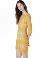 Amber lace dress