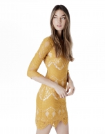 Amber lace dress