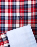 Red/blue checkered sport shirt