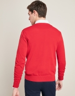 Red V-neck sweater