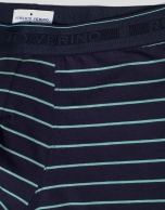 Navy blue and green striped boxer shorts 